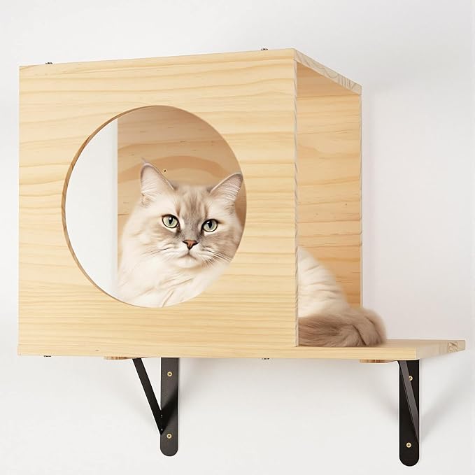 TIMIEEYA Cat Wall Shelves - Stable & Safe 5 in 1 Cat Walls Furniture Set, Wooden Kitten Climbing Wall with 1 Condos House, 1 Hammock & 3 Wall Steps