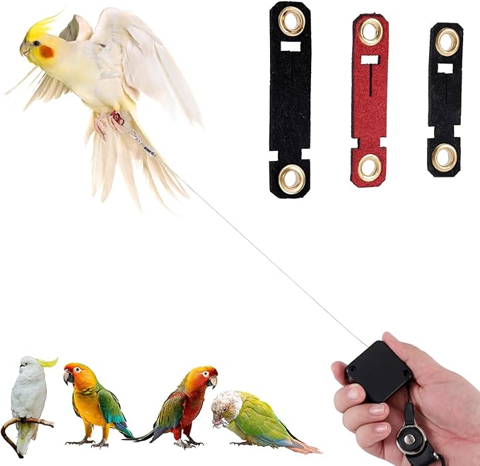 Retractable Bird Harness, 6.56ft Training Leash with 3 Sizes of Foot Rings - Parakeet & Parrot Leash Kit for Cockatiels, Budgies (Black)