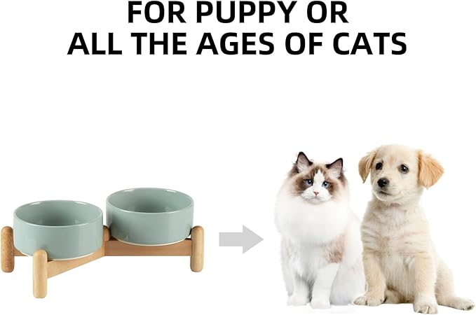 Havniva Ceramic 5.1inch Raised Double Bowls Set with Wooden Stand, Elevated Food & Water Bowls for Small Breed Dogs, Cats, Kitty, Weighted Dog Dishes, Pet Bowls(13.5oz, Light Green)