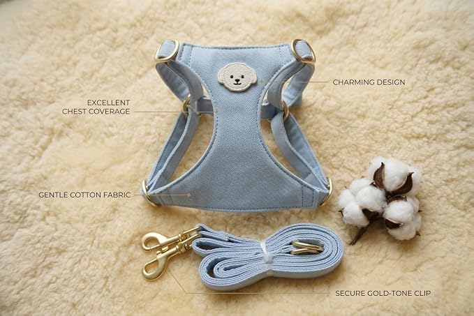 AetruffyPet 100% Cotton Dog Harness and Leash Set – Soft Breathable Vest for Small Dogs, Adjustable No-Choke Design, Lightweight Walking Set (XS/S/M) (Blue, XS)