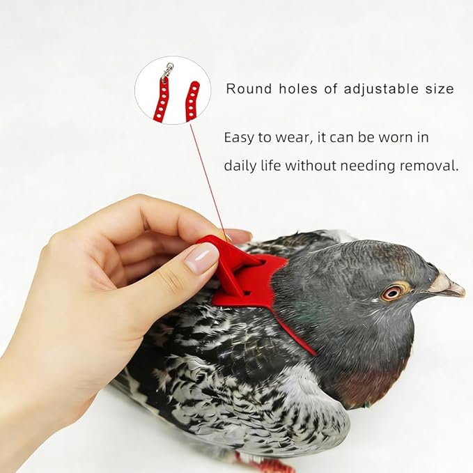 Adjustable Bird Harness & Leash Set for Small Birds,FitsBudgie,Parakeets, Conures, Cockatiels,Green Cheek,Quaker Parrots(Red, 2XL) Z6350-12