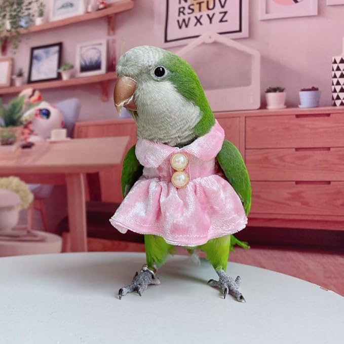 Bird Costume Bird Diaper Flight Suit Parrot Velvet Fleece Skirt Clothes Cosplay Photo Prop for Conure Lovebird Parakeet Cockatiel Macaw Small Animals Apparel (White,X-Large)