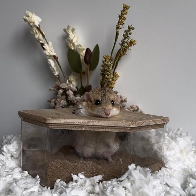 Exotic Nutrition Acrylic Sand Bath House - Fun & Unique Cage Accessory for Hamsters, Gerbils, Chinchillas, and Degus (Corner)