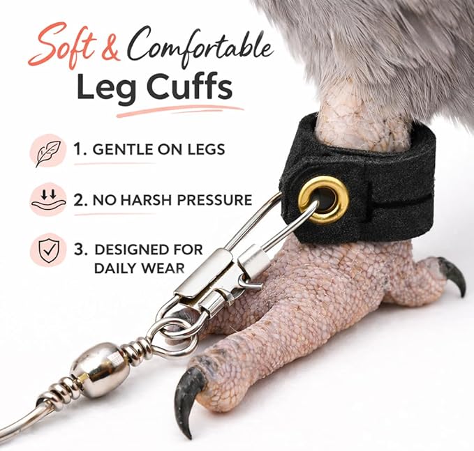 Parrot Bird Harness Leash Anti-bite Outdoor Flying Training Rope with 5pcs Different Sizes of Soft Foot Loops and Training Whistle(Upgraded Version of Ankle Ring)
