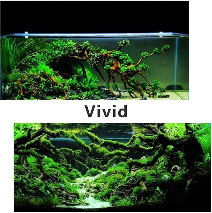 5 Pcs Aquarium Driftwoods Natural Driftwood Fish Tank Decorations Solid Reptile Wood Branches for Fish Tank Small Fish Hiding