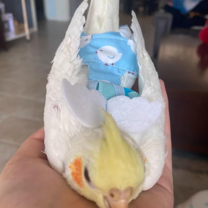 Adjustable Bird Diaper Harness Flight Suit Clothes with 80 Inch Flying Leash Rope for Parrots Conure Cockatiel (Blue,XL)