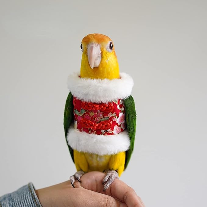 Bird Costume Flight Suit Clothes Cosplay Photo Prop for Parrots Parakeet Cockatiel Sun Conure, Hoodie Small Animals Apparel (Red, Small), Green