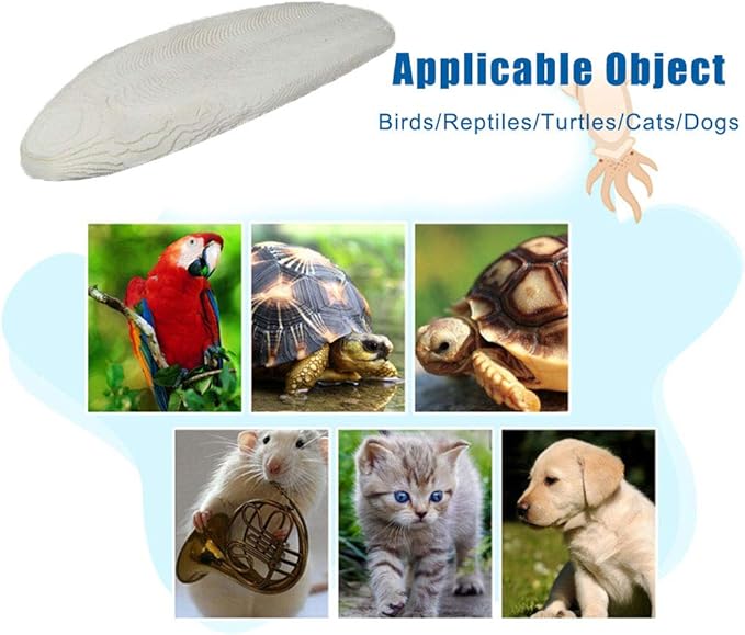 2PCS Natural Cuttlebone for Tortoise Turtles Snails Birds Cockatiels Parakeets Budgies Reptiles Small Animals(4"-4.5",Small)