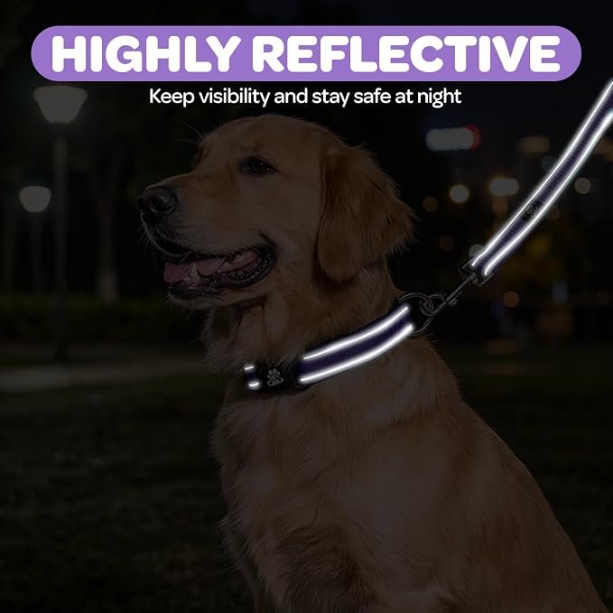 FURRYFECTION Reflective Dog Collar and Leash Set with Quick Release Buckle, Padded with Neoprene Adjustable Nylon Dog Collar for Small Medium and Large Dogs (Medium Collar+5FT Leash, Purple)
