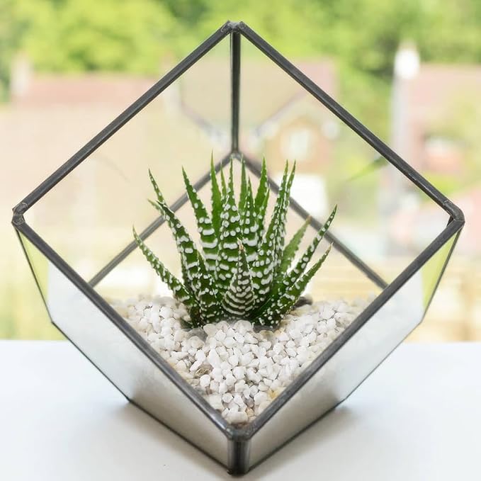 1.1 LB White Succulent Cactus Soil Cover Gravels, Decorative Small Rock | Indoor Plants,Natural Stones for Aquarium Fish Tank,Grow Media Cultivation Hydroponic Pebbles,2-5mm