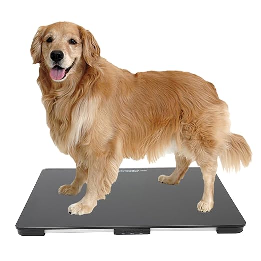 Helsevesen Medium Breed Veterinary Dog Scale, Digital Pet Scale with 27.6 x 17.7 inch Tempered Glass Platform with Anti Slip Sticker, 330 Lb Capacity