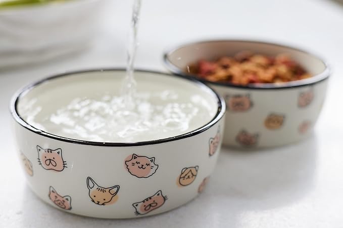 Pearhead Ceramic Cat Bowl, Holds 12 oz, Whisker-Friendly Pet Dish for Food and Water, Cute Cat Face Design