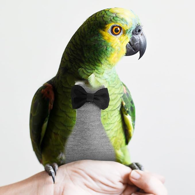 SUPVOX Bird Diaper Pigeon Flight Suit Reusable Parrot Clothing Adorable Design for Cockatoos Parakeets