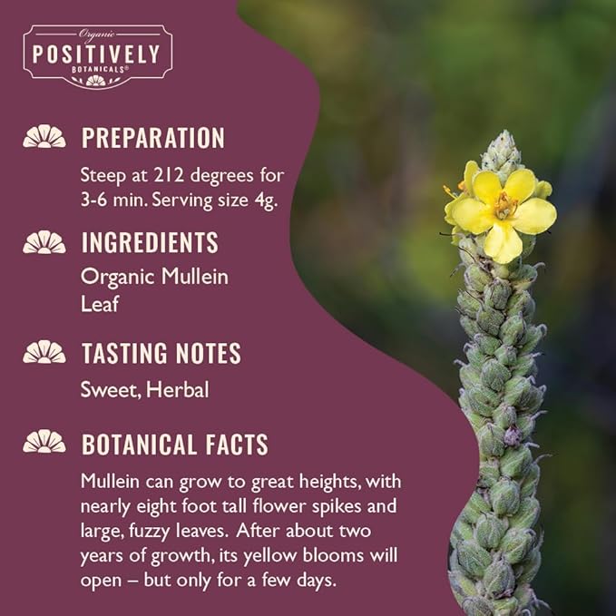 Organic Positively Botanicals Company, Mullein Leaf, Loose Leaf Botanical, 4 Ounce