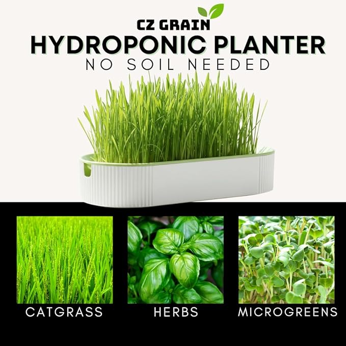 2 Hydroponic Growing Planters for Gardeners - Indoor Home Soil-Free Planter for Cat Grass, Herbs & Microgreens – Sprouting Container - Office Gift Exchange - No Seeds Included (2)