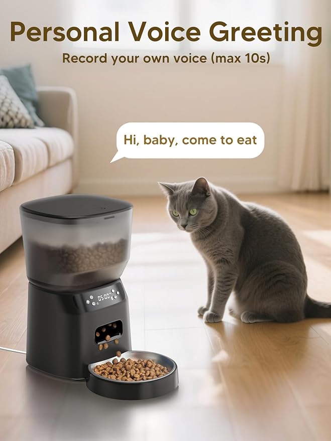 Automatic Cat Feeder and Water Fountain, 4L/16 Cups Timed Cat Dry Food Dispenser, 10s Meal Call, 20 Portions 6 Meals Per Day, 2L Cats Fountains for Drinking with Filter, Pet Feeder for Dog