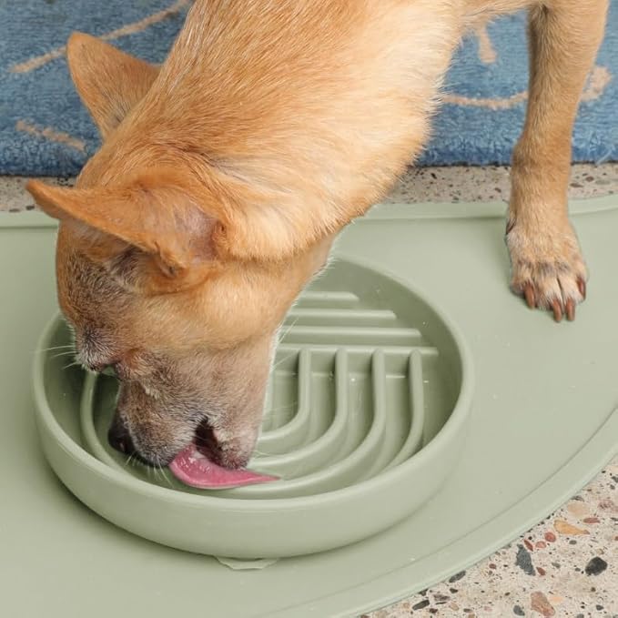 Should We Go? Slow Feeder for Dogs & Cats, The Slowdown Bowl Silicone Slow Eating Mealtime Solution with Modern Lick Mat Design, Reduces Gulping, Fits 1 Cup, 6” Across x 1.25” Tall, Small-Sage