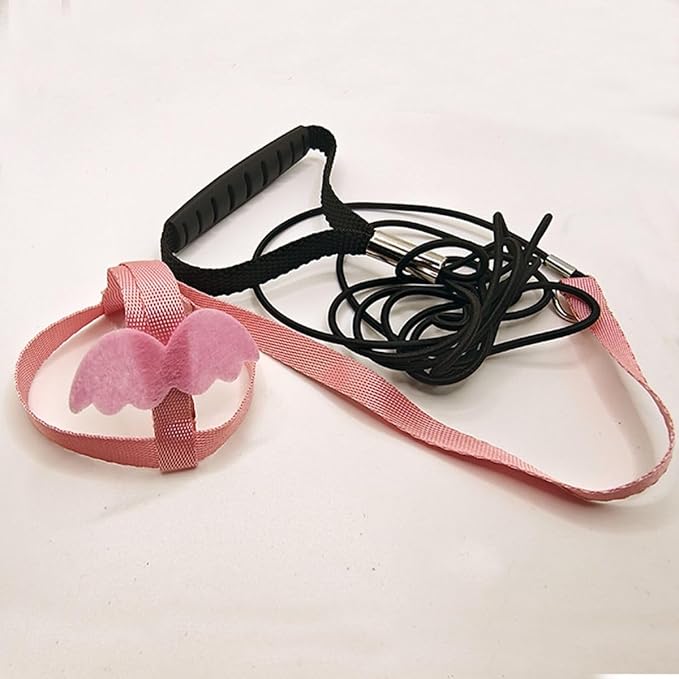 Pet Parrot Bird Harness and Leash, Adjustable Training Design Anti-Bite, Bird Nylon Rope with Cute Wing for Parrots, Suitable for Macaw Cockatoo Cockatiel Lovebird Conure African Grey (Pink,M)