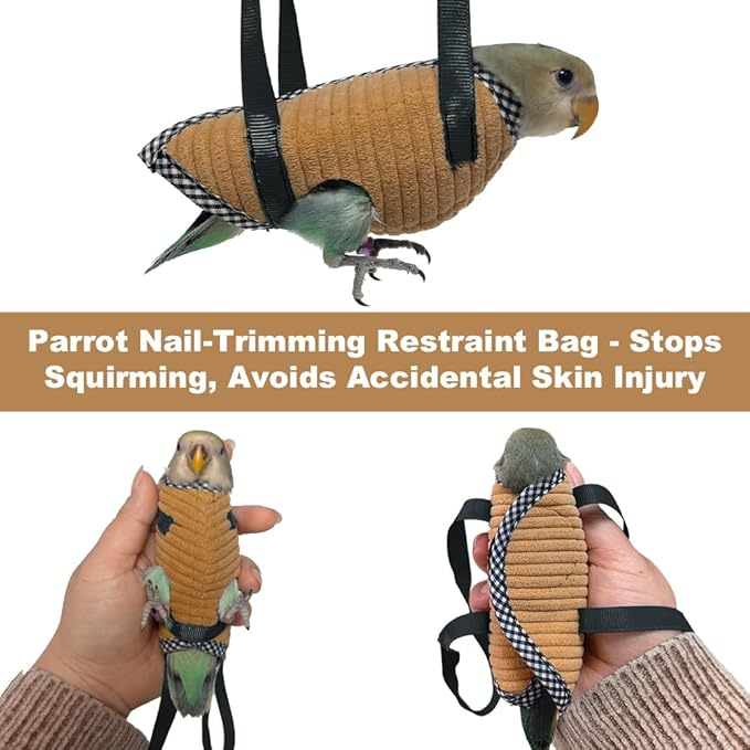 Parrot Bird Harness Leash with Cute Wing, Flying Harness Traction Rope for Budgerigar Lovebird, Outdoor Training Toy (Middle Brown)