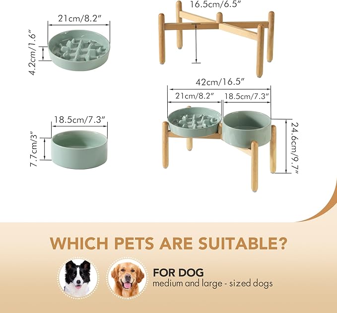 Havniva Ceramic Raised Slow Feeder Dog Bowl Set, Elevated 7.3inch Bowl and 8.2inch Slow Pet Food Dish with Wooden Stand for Medium and Large Dog (2 x Light Green+ Stand)