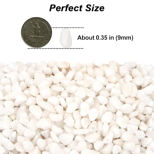 Landscaping Pebbles, White River Rocks, Ornamental Decor Stones, 5 Pounds | Ornamental Gravel Filler For Flower Bed, Fish Tank, Plants, Vases, Succulents, Home & Garden Landscaping Decoration