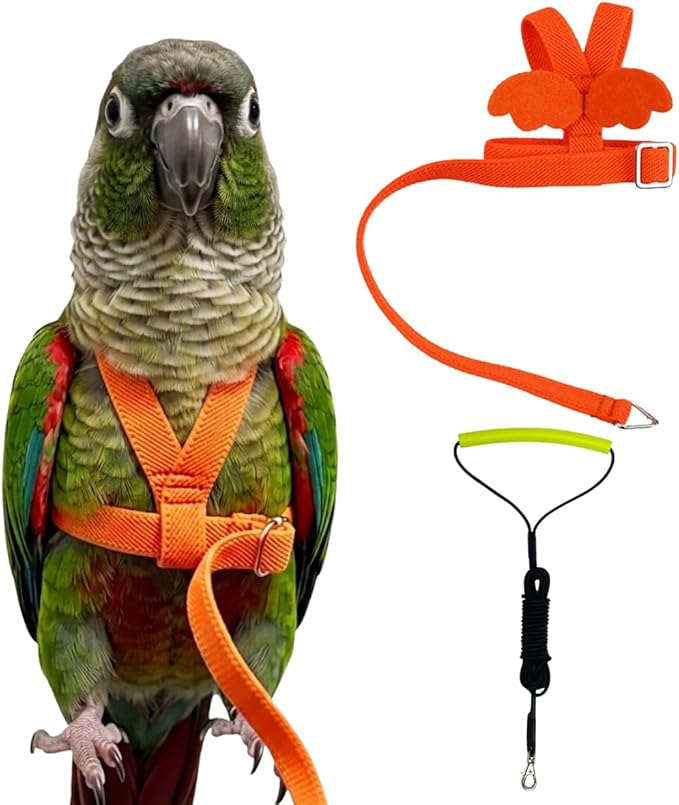 Adjustable Bird Harness with Elastic Leash, Pet Parrot Harness and Leash, Adjustable Training Design Anti-Bite, Bird Nylon Rope with Cute Wing for Conure (Orange,M)