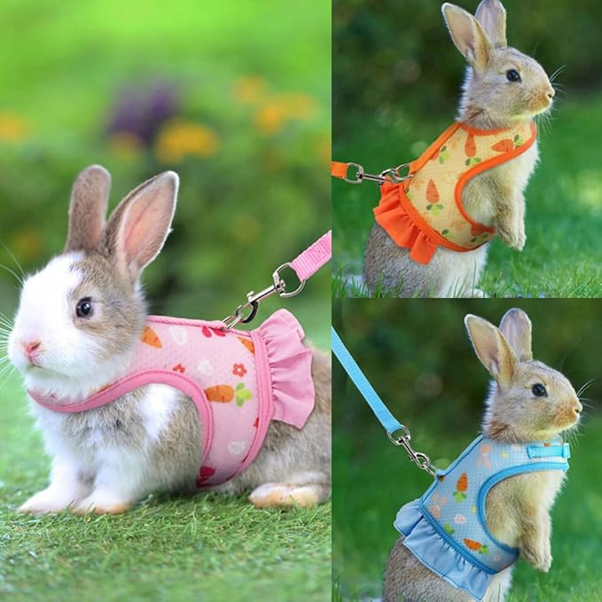 Guinea Pig Harness and Leash Set, Rat Harness Cute Floral Eescape Proof Walking Training for Small Animal Pets,Blue S