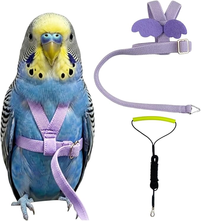 Adjustable Bird Harness with Elastic Leash, Pet Parrot Harness and Leash, Adjustable Training Design Anti-Bite, Bird Nylon Rope with Cute Wing for Conure (Purple,XS)