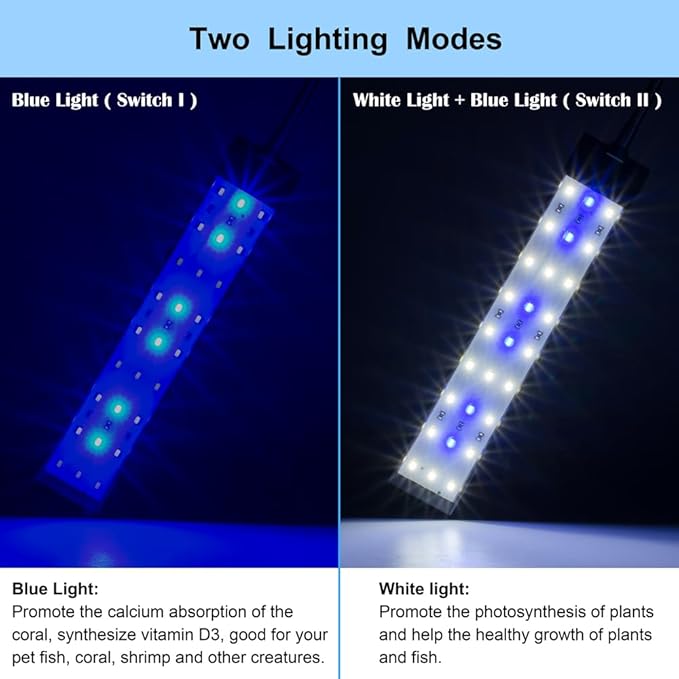DaToo Aquarium Light Small LED Clip Light for Fish Tank 10W, 1 Yr Warranty