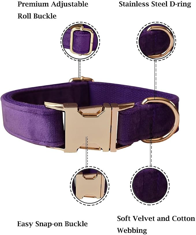Velvet Dog Collar and Leash Set with Quick Release Metal Buckle | Bright & Stylish Leash and Collar Set, Soft Heavy Duty Pet Collars Adjustable for Samll Medium Large Dogs or Cats
