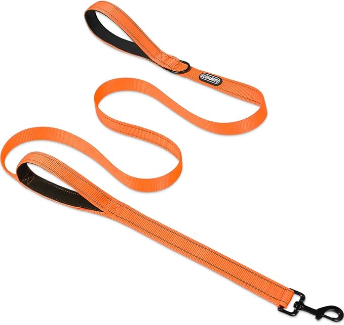 6 FT Heavy Duty Dog Leash with 2 Comfortable Padded Handles, Traffic Handle Extra Control, Highly Reflective Threads Leash for Small/Medium/Large Dogs (Orange)