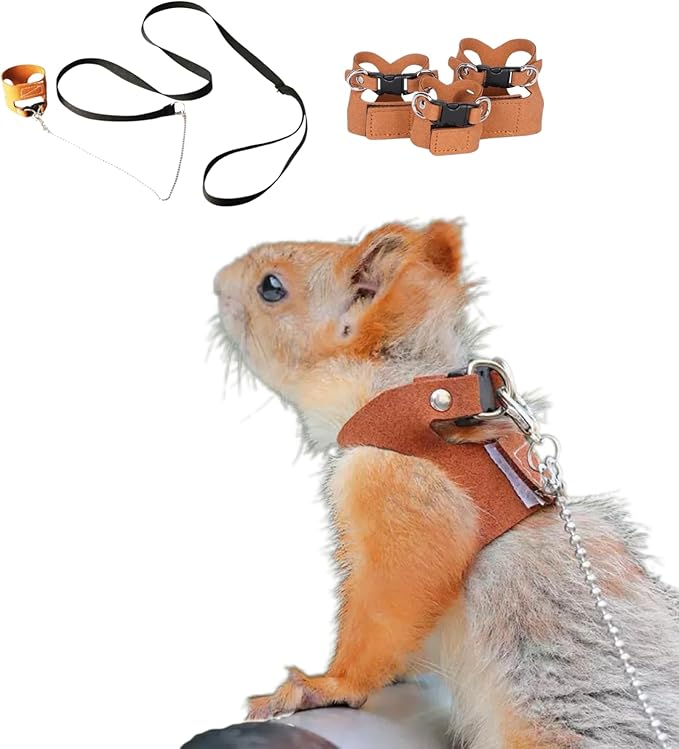 3 Pack Squirrel Harness and Leash Set - Adjustable Soft Leather & Traction Rope Strap Anti-Biting Chainfor Small Pet Walk Jogging Bearded Dragon Reptile Squirrel Rat