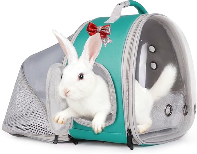 WEVONIGU Expandable Small Animal Backpack Carrier with Clear Bubble Window Large Space Travel Cage for Hedgehog Rat Parrot,Bearded Dragon,Sugar Glider,Airline Approved (Green, BE Backpack)