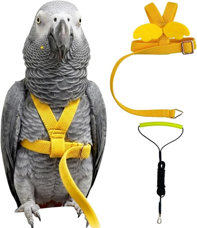Adjustable Bird Harness with Elastic Leash, Pet Parrot Harness and Leash, Adjustable Training Design Anti-Bite, Bird Nylon Rope with Cute Wing for Conure (Yellow,XXL)