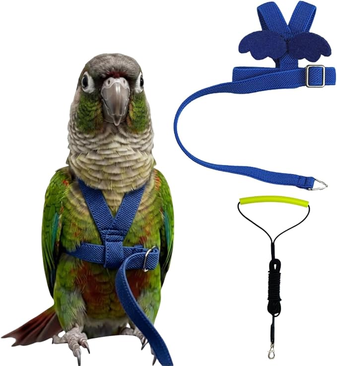 Adjustable Bird Harness with Elastic Leash, Pet Parrot Harness and Leash, Adjustable Training Design Anti-Bite, Bird Nylon Rope with Cute Wing for Conure (Deep Blue,M)
