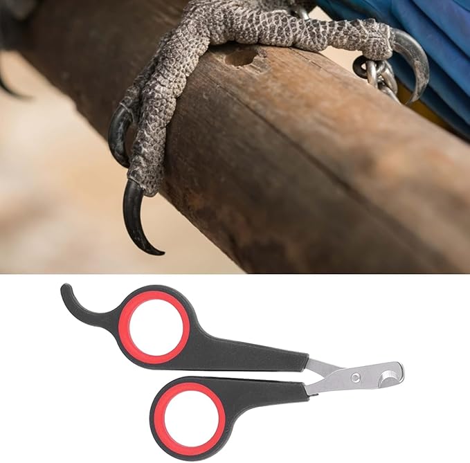 Bird Nail Clippers, Stainless Steel Small Animal Nail Clippers, Half Moon Pet Nail Scissors, Plastic Handle Pet Nail Clipper Scissors, Clipper Bird Grooming for Small Parrot Birds