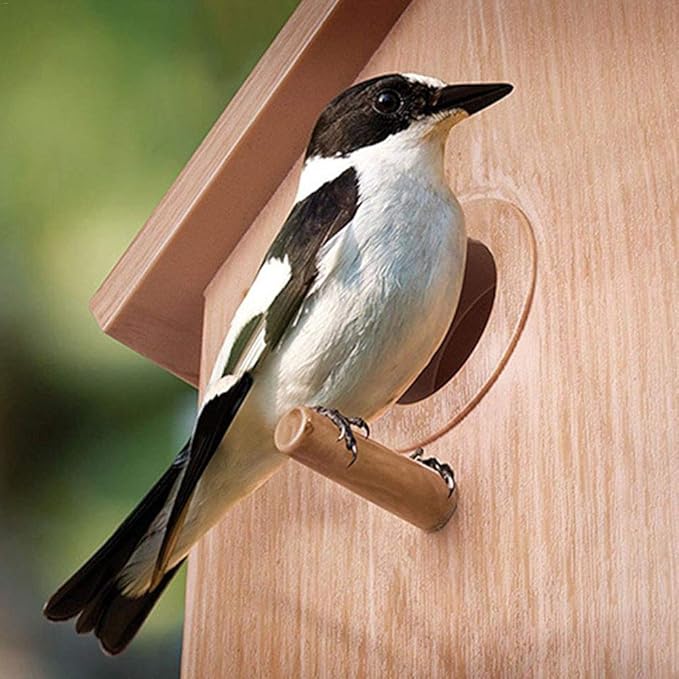 Outdoor Wooden DIY Bird Nest Cage Bird Feeder with Suction Cup Window Decorations
