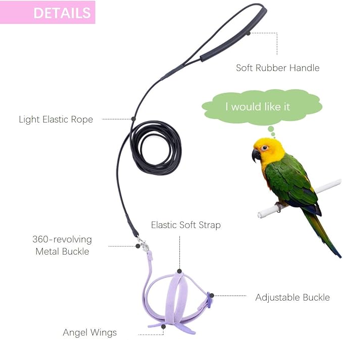 Bird Harness Leash Kit for Walking, Durable Outing Gadget Adjustable Flying Training Rope Strap, Traction Rope for Parrot, Cockatiel, Parakeet, Lory, Conure..