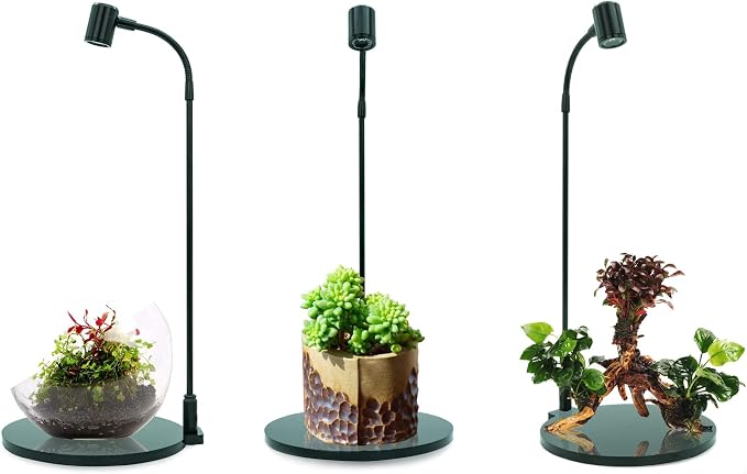 MINI Terrarium Aquarium Black Spotlight for Potted Plants, Betta Fishes, Bottle Jars, Displays, Indoor Plant, Succulents, Air Plants