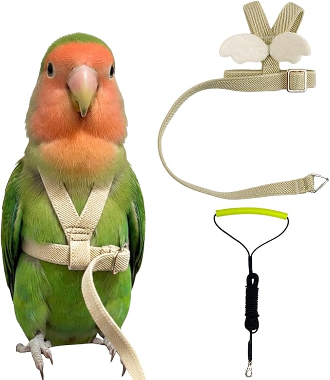 Adjustable Bird Harness with Elastic Leash, Pet Parrot Harness and Leash, Adjustable Training Design Anti-Bite, Bird Nylon Rope with Cute Wing for Conure (Beige,S)