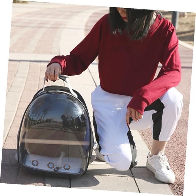 Portable Parrot Backpack Carrier Breathable Travel Space Capsule with Wooden Stand for Outdoor Use Comfortable and Transparent Design for Birds Black