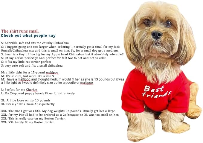 Cute Dog Clothes, T Shirt for Medium and Small Dogs Girl Boy,Puppy.Breathable Soft Dog Costume for Pet Dogs Cats, Pet Pullover Jumper, Cat Clothes (XXL-(19~23lb), Chest~21.5", Aqua)