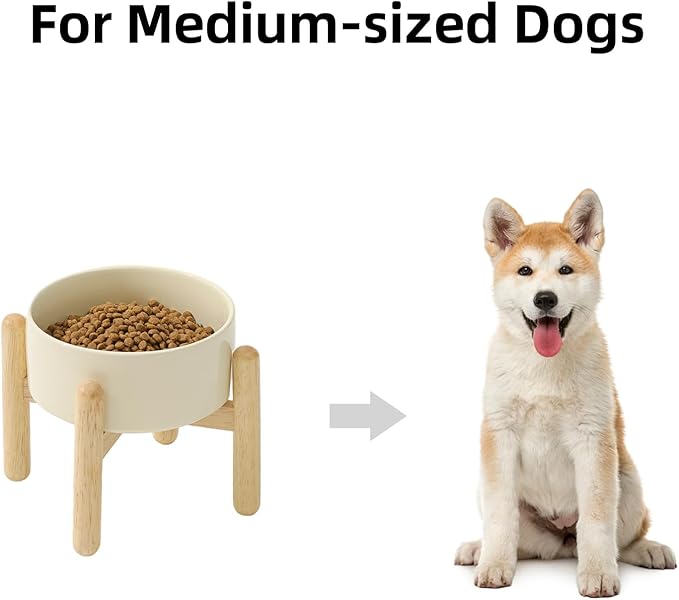 Havniva Ceramic 6.1inch Raised Dog Bowl with Stand for Small and Medium Dog Dish Pet Food and Water Bowl (Single Bowl with Stand - Light Yellow)