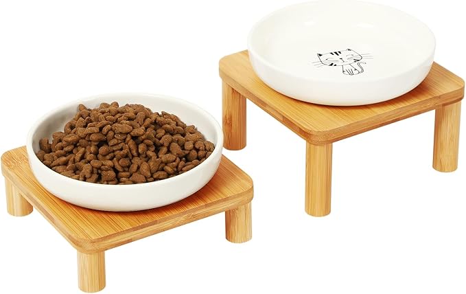 DoogCat Elevated Cat Bowls for Indoor Cats – Raised Bamboo Cat Bowl Stand with 5.75 Inch Wide Ceramic Dishes, Pet Food Plate Table for Easy Feeding, Whisker Friendly(White,Set of 2)