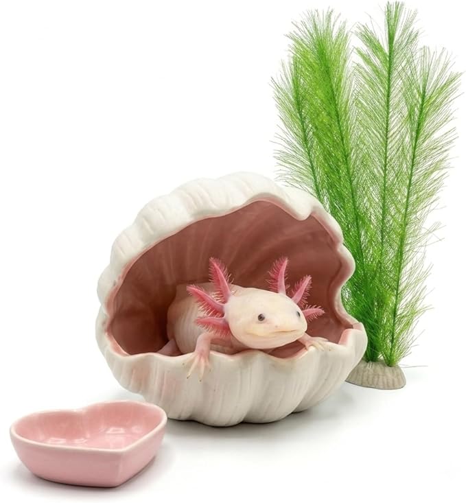 Axolotl Hide Ceramic Shell Shape Fish Tank Cave with Feeding Bowl | 3-Piece Aquarium Decor Kit with Silk Plant, Extra Large Habitat Shelter for Axolotls, Betta, Newts & Small Pet Frogs (Pink)