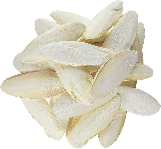 Prevue Pet Products Cuttlebone Pack with Holder - 25Natural Calcium Bones for Birds, Beak Conditioning and Enrichment Toy, Easy Cage Attachment for Cockatiels, Conures, & Small African Greys - Large