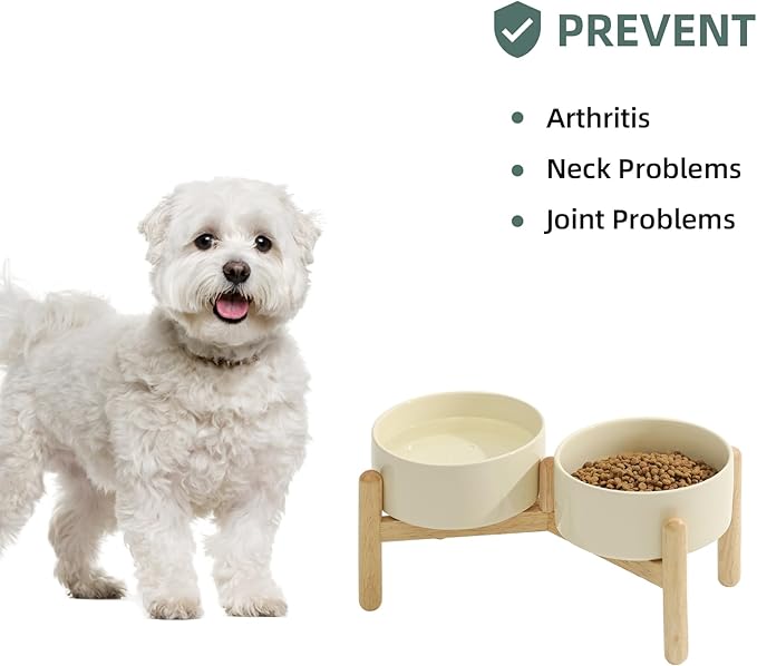 Havniva Ceramic 6.1inch Raised Dog Bowl with Stand for Small and Medium Breed Dog Dish Pet Food and Water Bowl (Double Bowl with Stand - Light Yellow, 28oz)