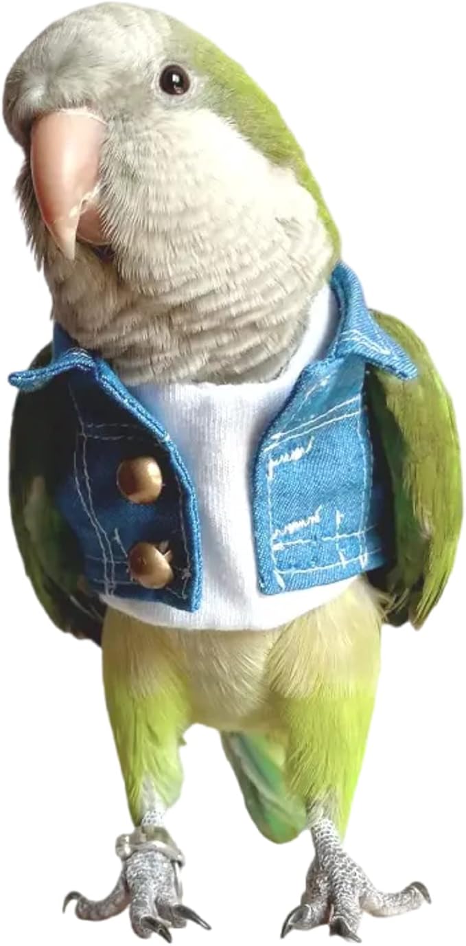 Bird Costume Bird Diaper Flight Suit Bird Jeans Fake Two Pieces Bird Clothes Cosplay Photo Prop for Parrots Lovebird Parakeet Cockatiel Small Animals Apparel (Without Diaper,Alexandrine)