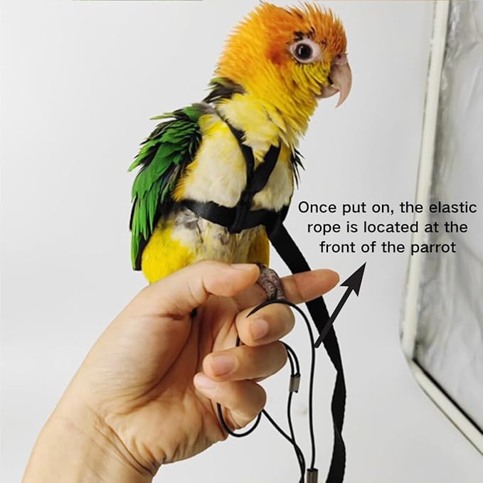 Adjustable Bird Harness and Leash for Parrots Outdoor Flight Training Anti-Bite Light Weight Easy-to-Wear Bird Vest with 59 Inch Elastic Leash for Quaker Conure African Grey Macaw Cockatoo (XL)