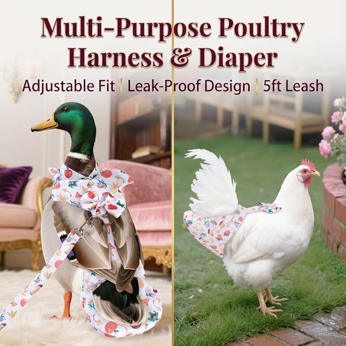 Duck & Chicken Harness with Diapers – Washable Adjustable Elastic Nappy for Poultry (Goose, Hen, Duck) with 5-FT Leash, Comfortable & Leak-Proof (S)